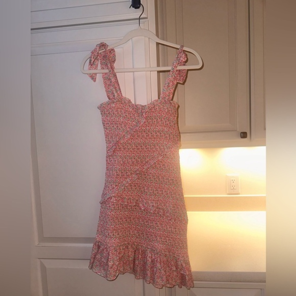Impeachable Pig dress
